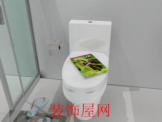 家用马桶哪个牌子好 如何选购马桶